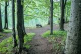 20140604-AJ012316.jpg